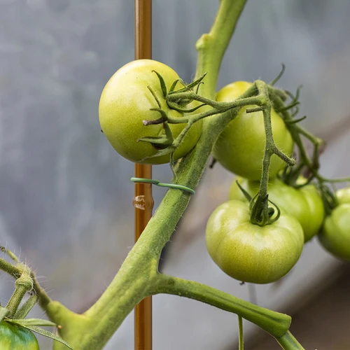 Prevlečen jekleni količek v obliki bambusa, 180 cm × 11 mm - 5