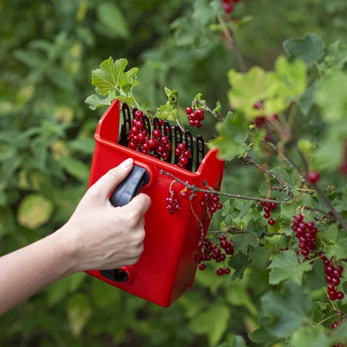 Pripomoček za nabiranje drobnih sadežev - 8