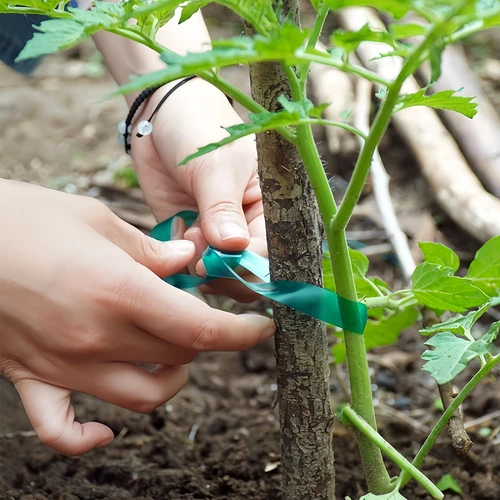 PVC trak za privezovanje rastlin, 1,2 cm x 40 m - 4