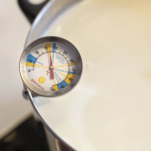 Sirarski termometer (od 0 °C do +100 °C) 19,8 cm - 3