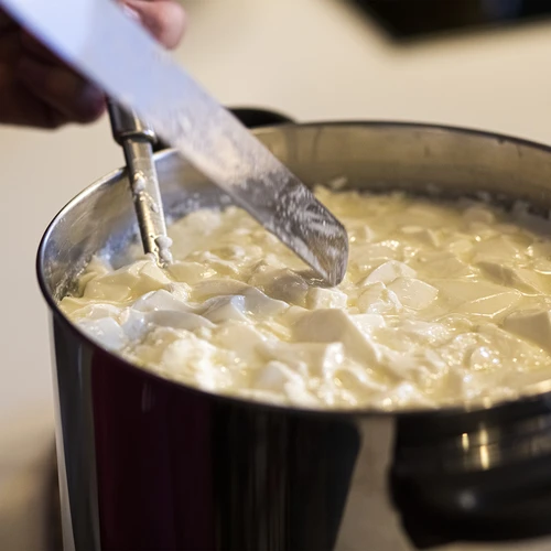 Sirišče za sire 5x1 g - 7