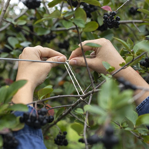 Sizalna vrvica 1,8 mm/115 m/250 g - 7