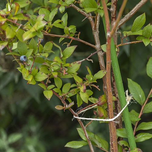 Sizalna vrvica 1,8 mm/115 m/250 g - 8