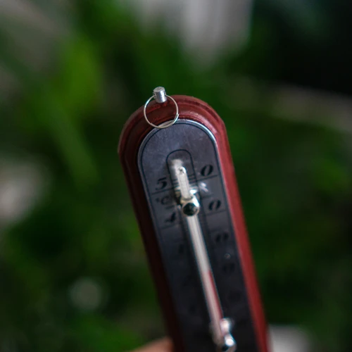 Sobni termometer s srebrno lestvico (-10°C do +50°C) 16cm mix - 5