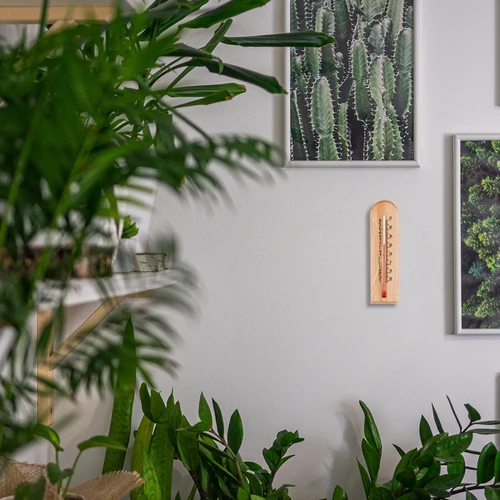 Sobni termometer z vzorcem (-20°C do +50°C) 15cm - 6