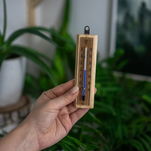 Sobni termometer z zlato lestvico (-10 °C do +50 °C) 12 cm - 5