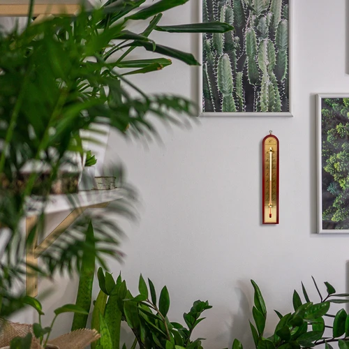 Sobni termometer z zlato lestvico (-10 °C do +60 °C) 28 cm mix - 8
