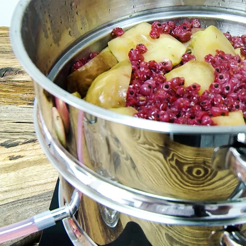 Sokovnik iz nerjavnega jekla z nastavkom za kuhanje na pari 5 l - 17