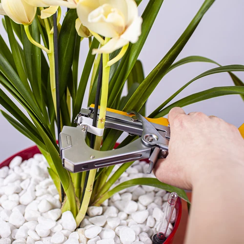 Sponke za vrtnarski spenjalnik - 10000 kos. - 5