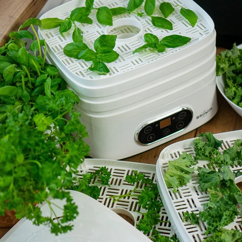 Sušilnik za gobe, sadje, zelenjavo in zelišča z nastavljivo temperaturo, 240 W, bel - 23