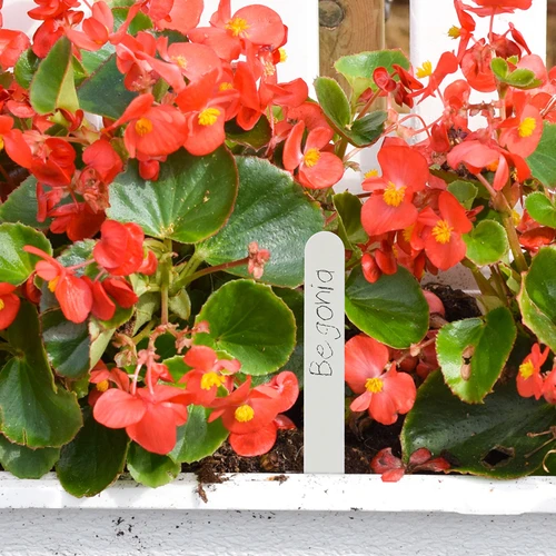 Tablice za označevanje rastlin + svinčnik, mix 10+20 kosov - 8