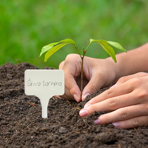 Tablice za označevanje rastlin + svinčnik, mix 10+20 kosov - 10