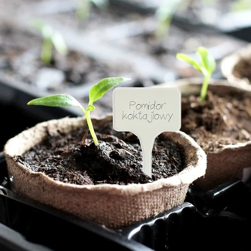 Tablice za označevanje rastlin + svinčnik, mix 10+20 kosov - 11