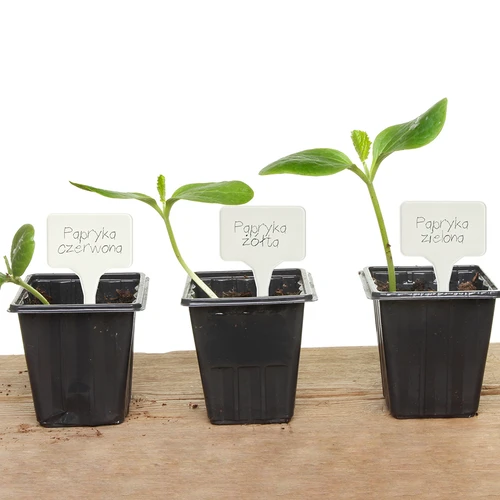 Tablice za označevanje rastlin + svinčnik, mix 10+20 kosov - 12