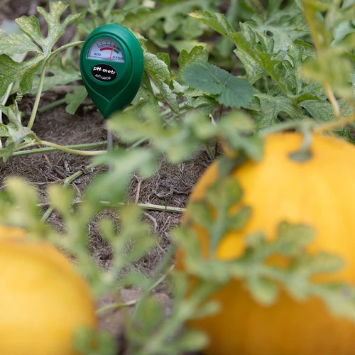 Talni merilnik pH - 12