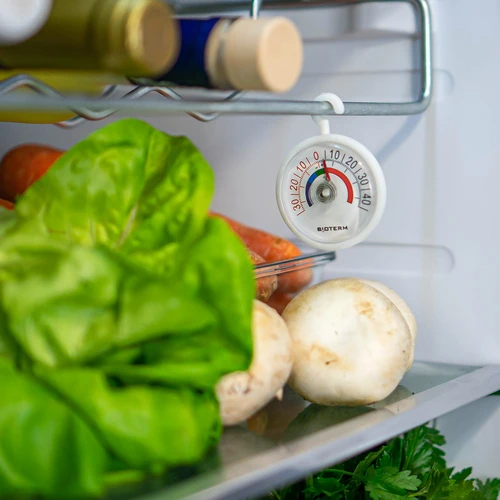 Termometer za hladilnike in zamrzovalnike (-35 °C do +45 °C) Ø 5 cm - 4