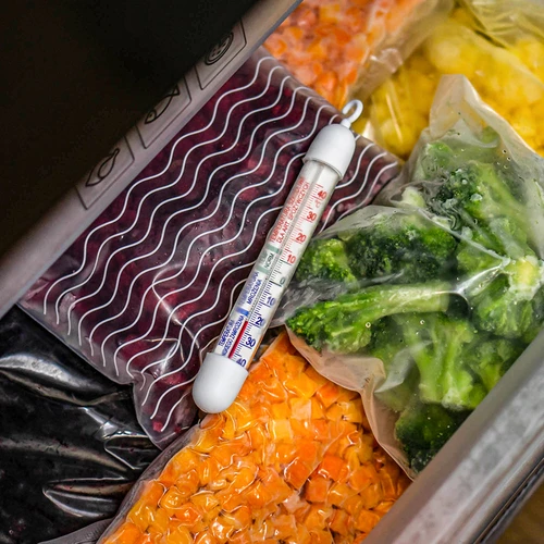 Termometer za hladilnike in zamrzovalnike (-50 °C do +40 °C) 17 cm - 6