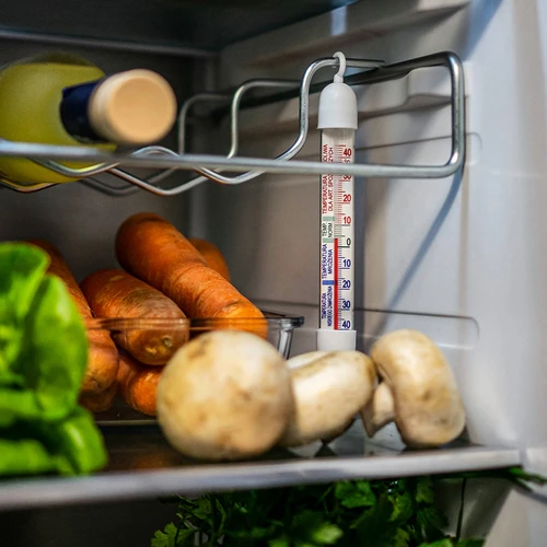 Termometer za hladilnike in zamrzovalnike (-50 °C do +40 °C) 17 cm - 5