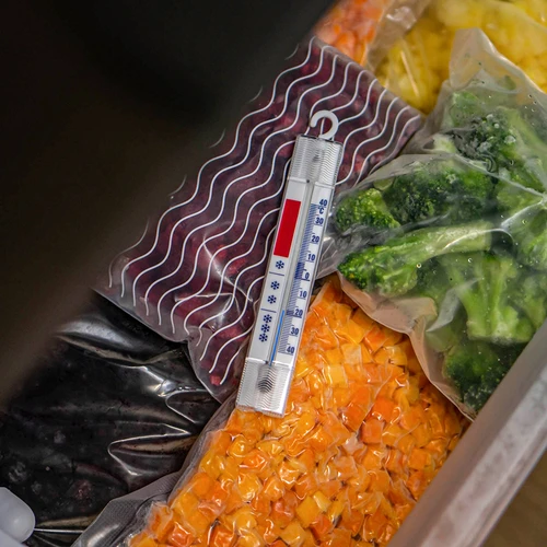 Termometer za hladilnike in zamrzovalnike (od -40 °C do +40 °C) 15 cm - 6