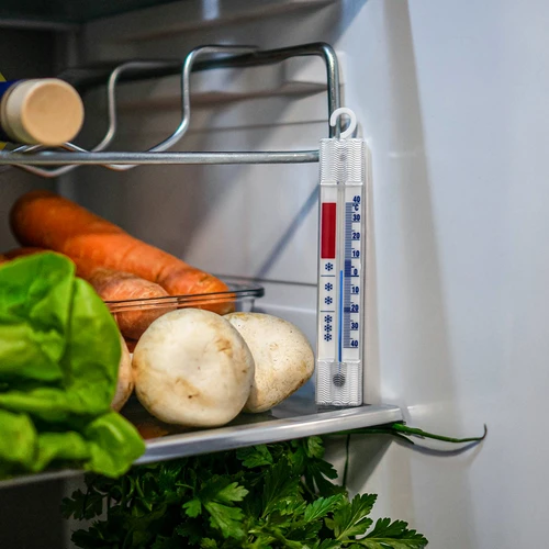 Termometer za hladilnike in zamrzovalnike (od -40 °C do +40 °C) 15 cm - 5