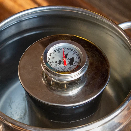 Termometer za peko mesa (od 0 °C do +120 °C) 12,5 cm - 12