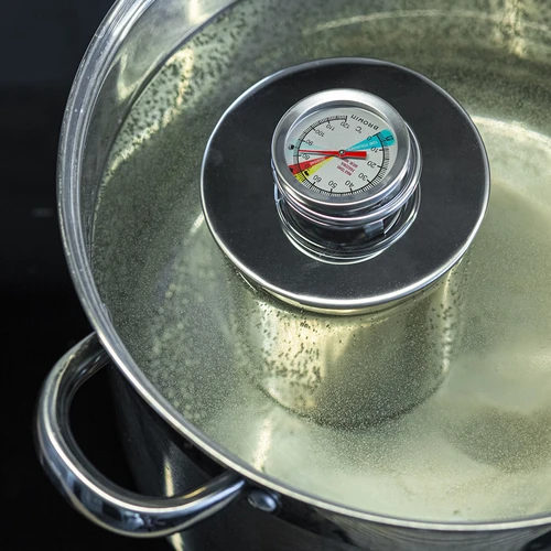 Termometer za šunkovar 0,8 kg (0 °C do +120 °C) 9,0 cm - 8