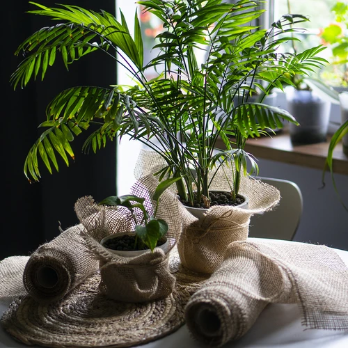 Trak iz jute 10 cm/5 m - 9