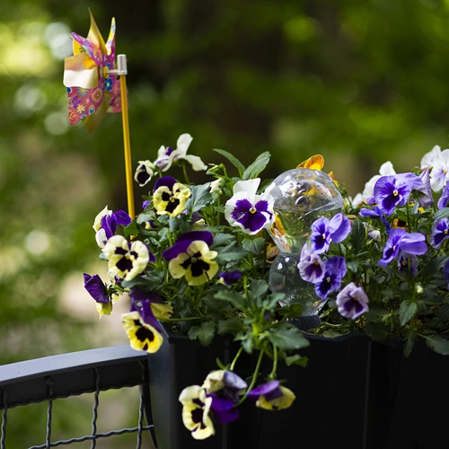 Trojna (trikomorna) namakalna krogla, prozorna brezbarvna, 600 ml - 9