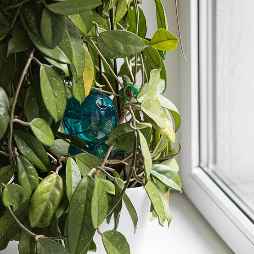 Trojna (trikomorna) namakalna krogla, prozorno modra, 600 ml - 7