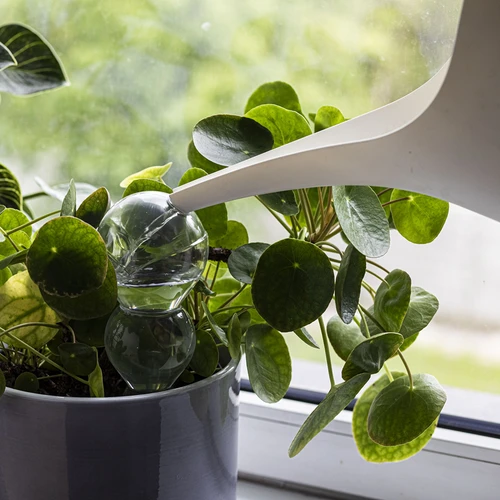 Trojna (trikomorna) zalivalna krogla, prozorna brezbarvna, s keramičnim stožcem, 600 ml - 6