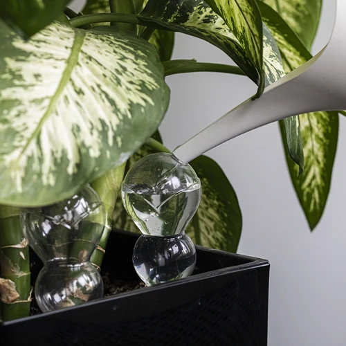 Trojna (trikomorna) zalivalna krogla, prozorna brezbarvna, s keramičnim stožcem, 600 ml - 7