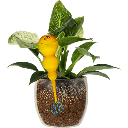 Trojna (trikomorna) zalivalna krogla, prozorna rumena, 600 ml - 3