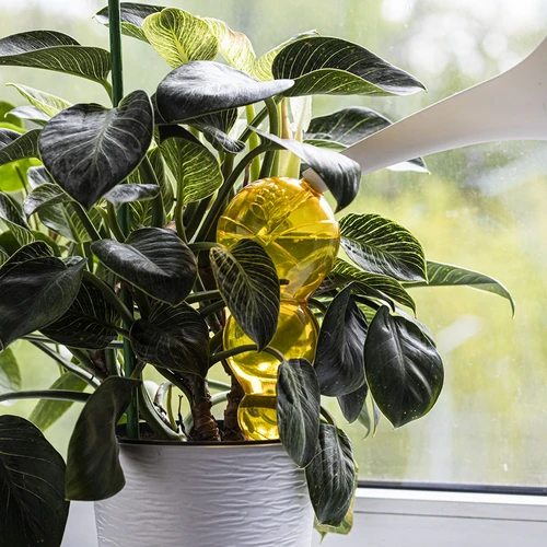 Trojna (trikomorna) zalivalna krogla, prozorna rumena, 600 ml - 6