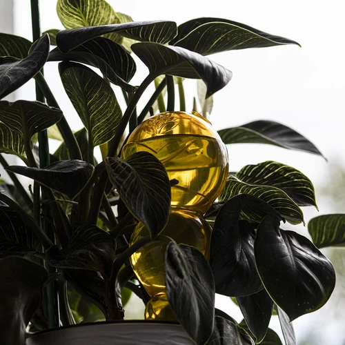 Trojna (trikomorna) zalivalna krogla, prozorna rumena, 600 ml - 7