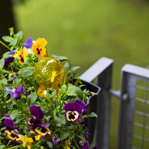 Trojna (trikomorna) zalivalna krogla, prozorna rumena, 600 ml - 8