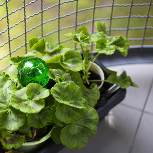 Trojna (trikomorna) zalivalna krogla, prozorna zelena, s keramično konico, 600 ml - 9