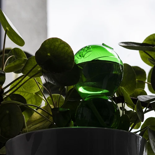 Trojna (trikomorna) zalivalna krogla, prozorna zelena, s keramično konico, 600 ml - 7