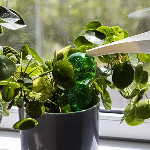 Trojna (trikomorna) zalivalna krogla, prozorno zelena, 600 ml - 6