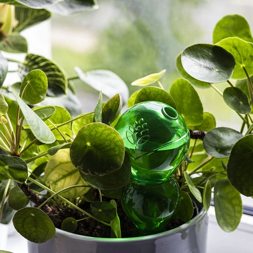 Trojna (trikomorna) zalivalna krogla, prozorno zelena, 600 ml - 7