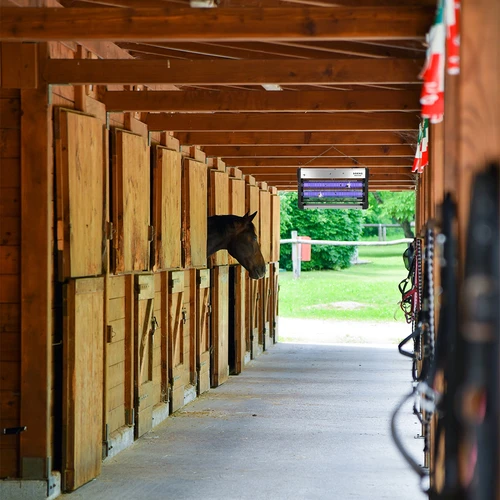 UVA svetilka proti insektom 40 W, srebrna - 11