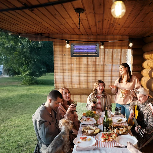 UVA svetilka za uničevanje žuželk 20 W, črna - 9