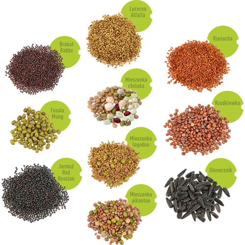 Večnivojski kalilnik Niezłe Ziółko + 10 pakiranj semen - 3