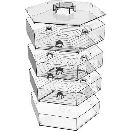 Večnivojski kalilnik Niezłe Ziółko s semeni redkvice - 7