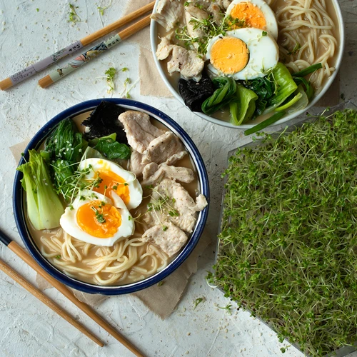 Večnivojski kalilnik Niezłe Ziółko s semeni redkvice - 17