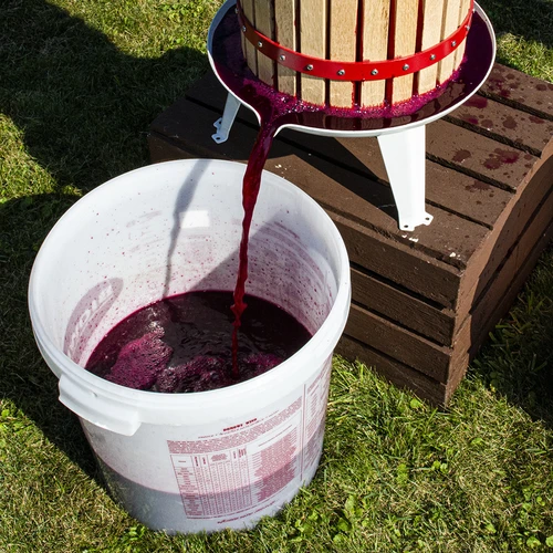 Vinski kvas Burgund brez razmnoževanja, 20 ml - 4