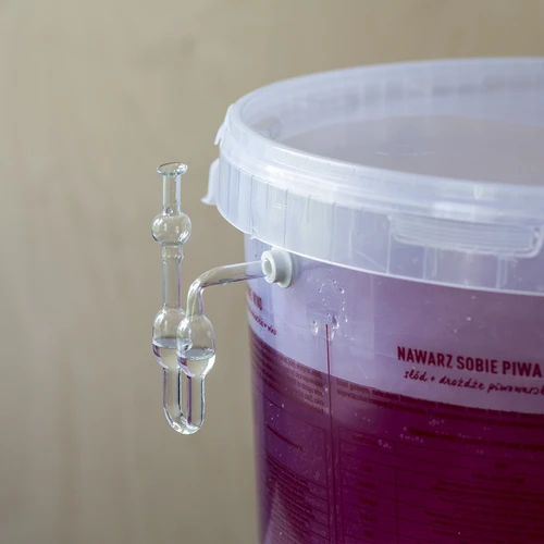 Vinski kvas Burgund brez razmnoževanja, 20 ml - 6