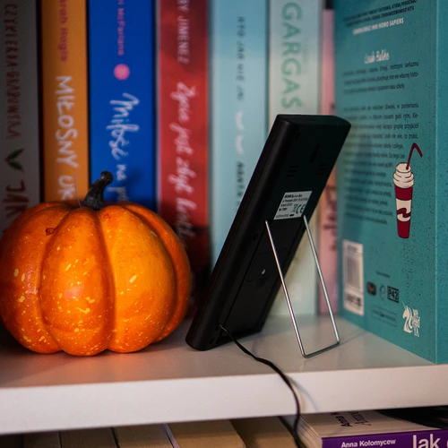 Vremenska postaja – elektronska, s sondo, črna - 7