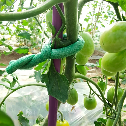 Vrtna žica, prevlečena s penasto oblogo, zelena, 10 m, fi 10mm - 4