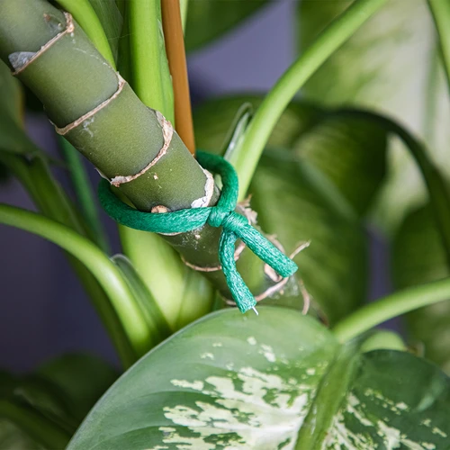 Vrtna žica, prevlečena s penasto oblogo, zelena, 10 m, fi 10mm - 5