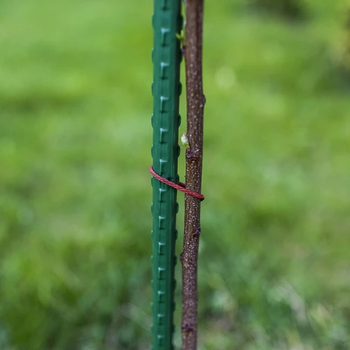 Vrtne opore Bioogród – prevlečene jeklene, 1,2 m, Ø 11 mm, 10 kos - 5